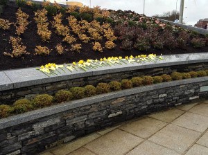 During a day trip to Omagh, the site of a horrific 1998 bombing by the Real IRA, students laid out daffodils to honor those who lost their lives to the tragedy.