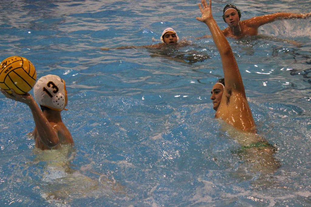 Water polo takes on Bellevue last Tuesday. photo by Ruby Hale.