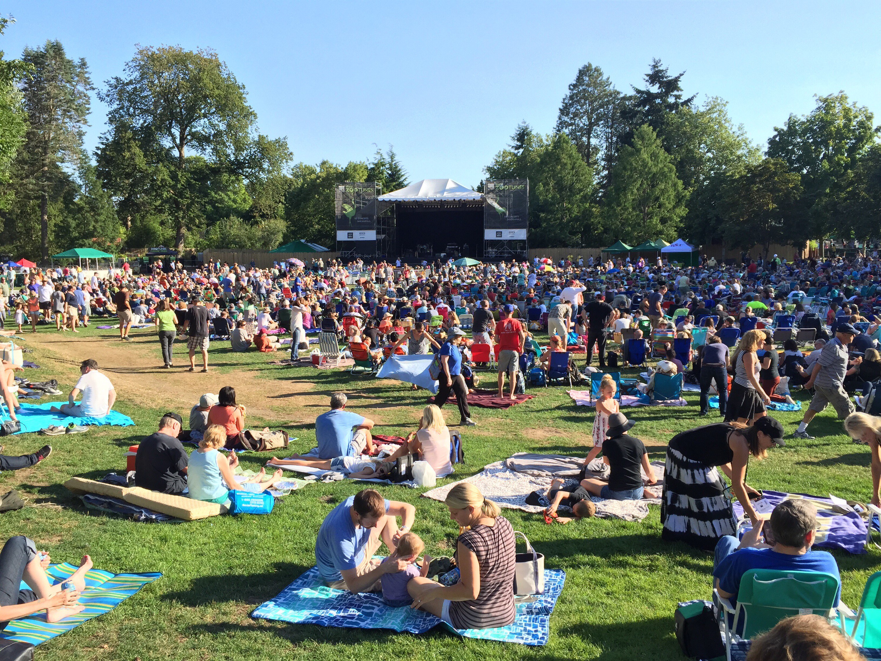 ZooTunes Brought Pop to Woodland Park