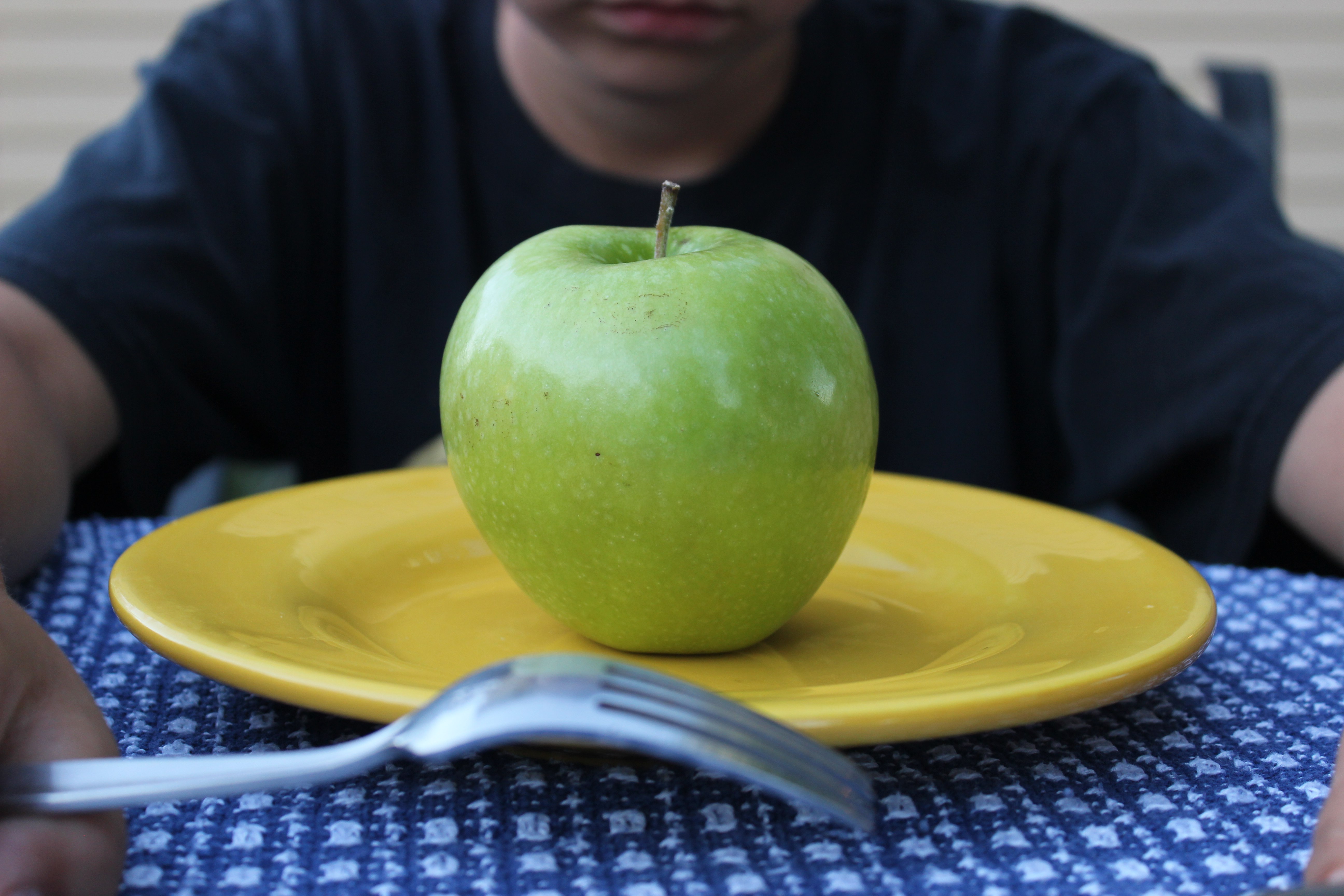 Living on the Teacher’s Apple: A Look at Educators’ Wages