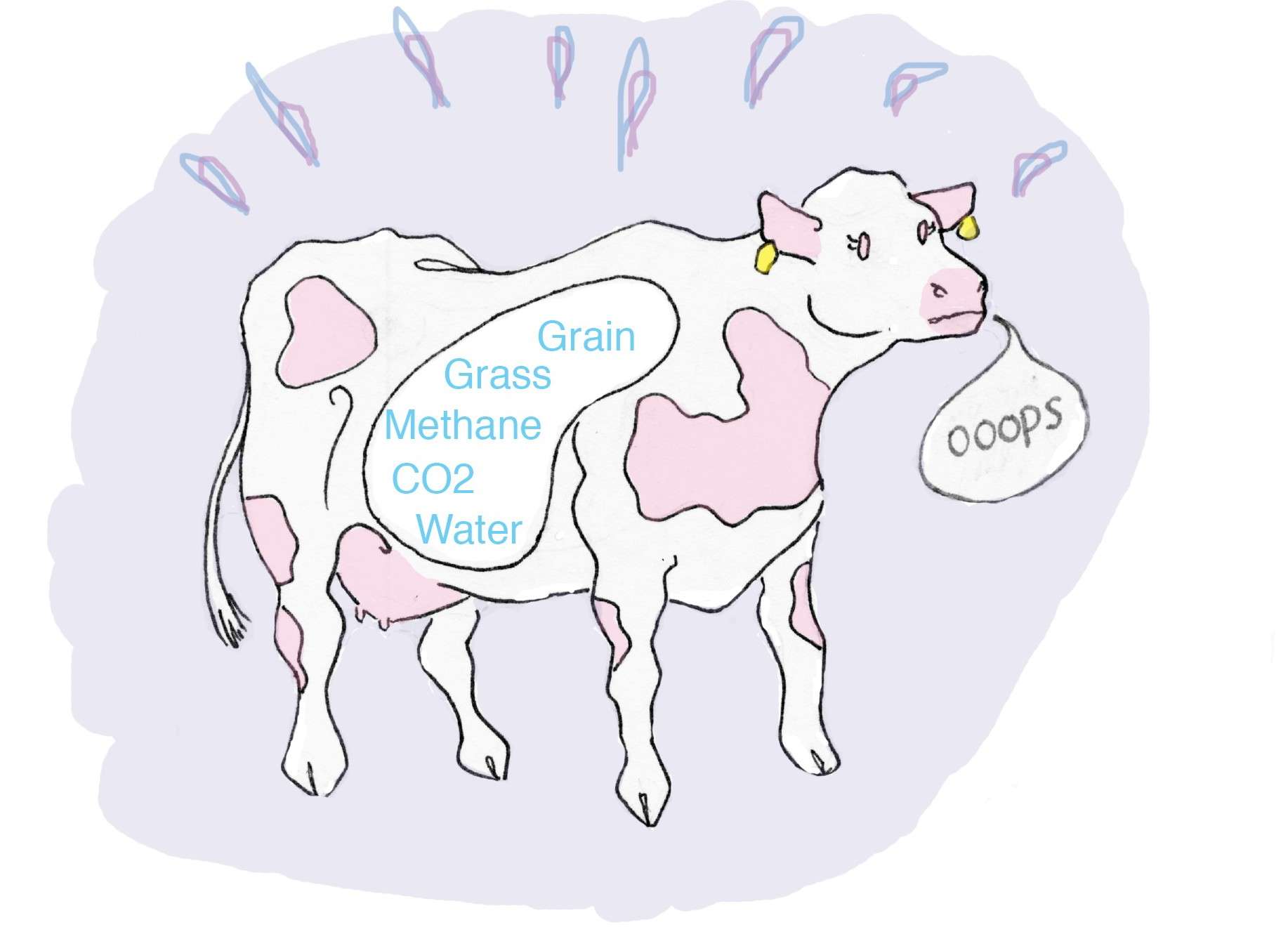 Editorial Cartoon: Cow-tastrophe