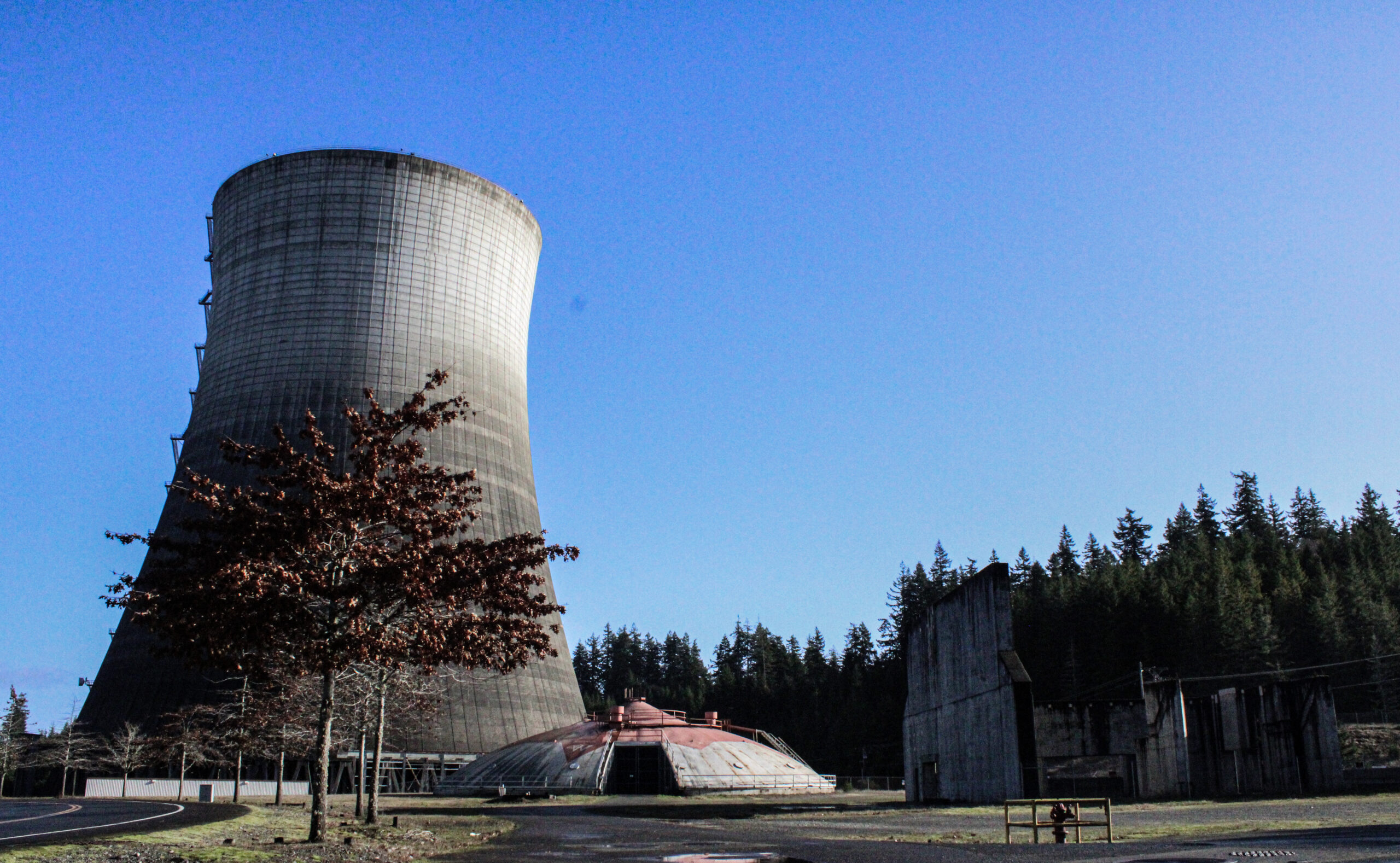 Nuclear energy: America’s future?