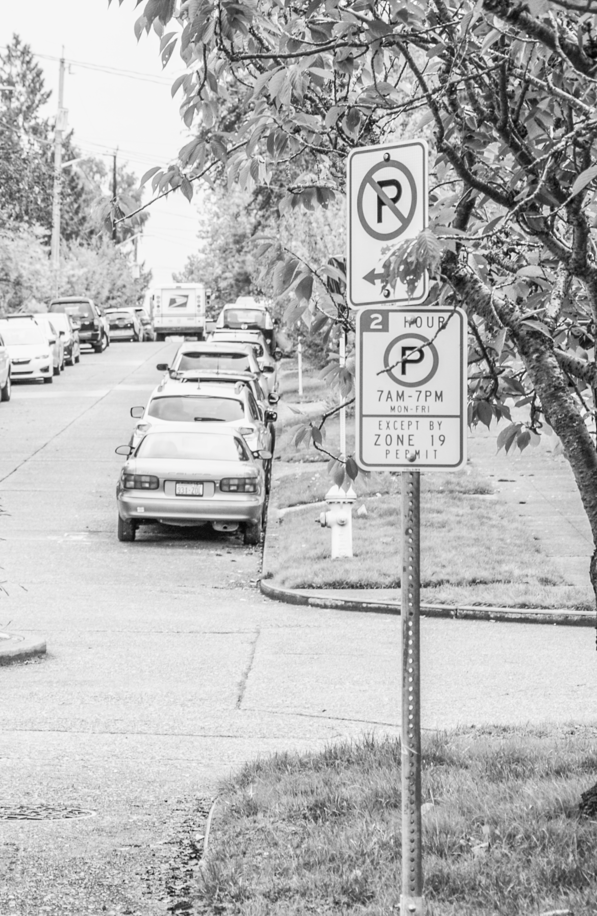 Roosevelt Student Drivers Struggle for Parking