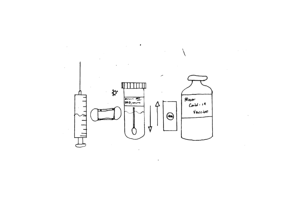 COVID-19 Guidelines & Safety