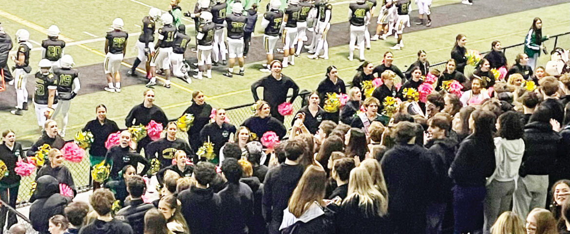 Cheer + Dance = Spirit Team